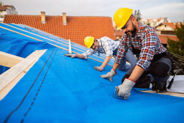 Best Storm Damage Roof Repair  in Springtown, TX